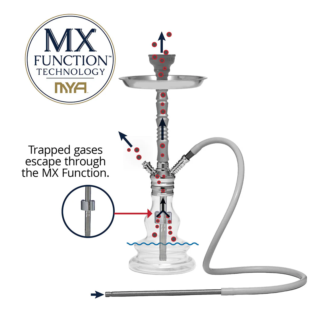 Clio 124XB Hookah - Image 6