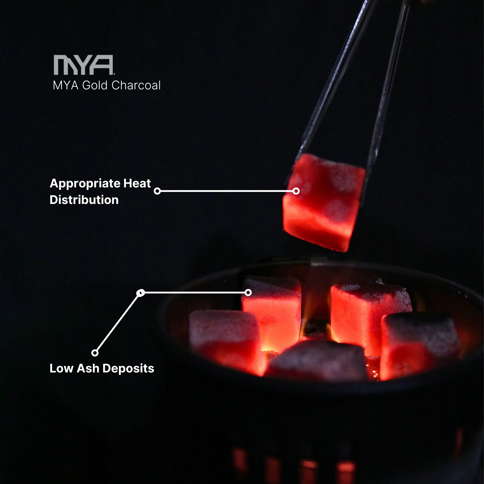 MYA GOLD 72 HOOKAH CHARCOALS - Image 9