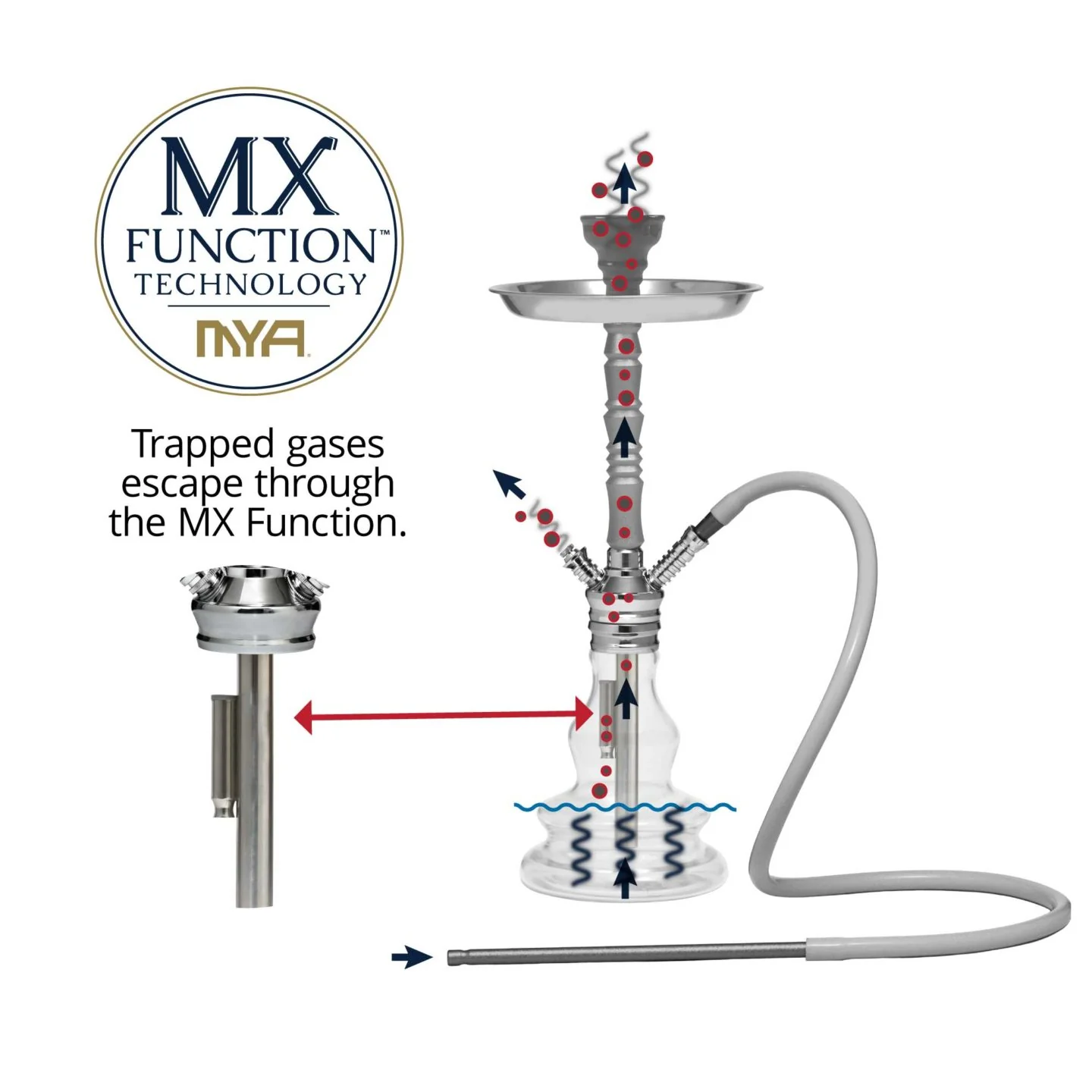 Robusto 500 Hookah - Image 4